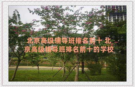 北京高级辅导班排名前十 北京高级辅导班排名前十的学校